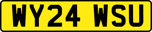 WY24WSU