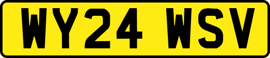 WY24WSV
