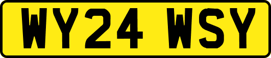 WY24WSY