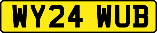 WY24WUB