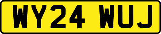 WY24WUJ