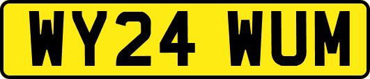 WY24WUM