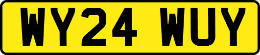 WY24WUY