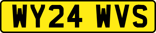 WY24WVS