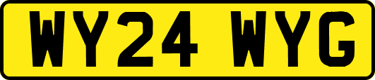 WY24WYG