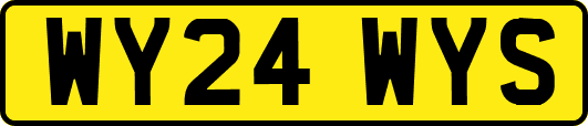 WY24WYS
