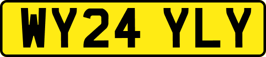 WY24YLY