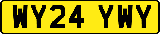 WY24YWY