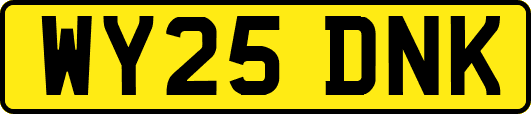 WY25DNK