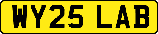 WY25LAB