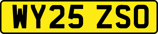 WY25ZSO