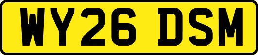 WY26DSM