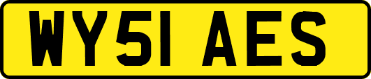 WY51AES