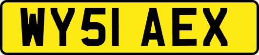 WY51AEX