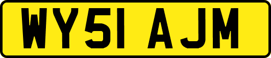 WY51AJM