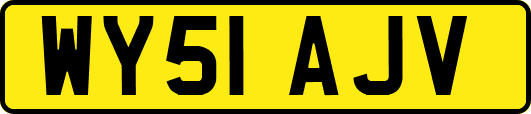 WY51AJV