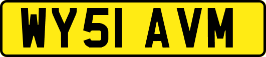 WY51AVM