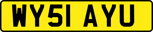 WY51AYU