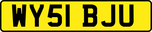 WY51BJU