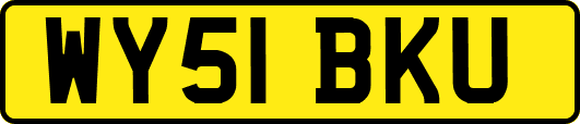 WY51BKU
