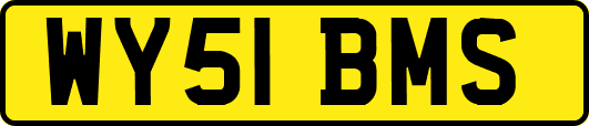 WY51BMS