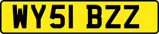 WY51BZZ