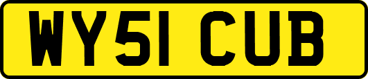 WY51CUB