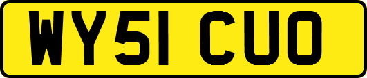 WY51CUO