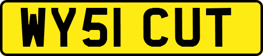 WY51CUT