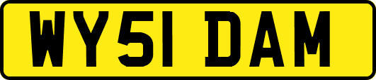 WY51DAM