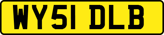 WY51DLB