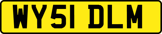 WY51DLM