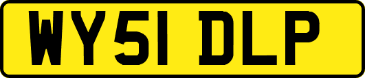 WY51DLP