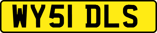 WY51DLS