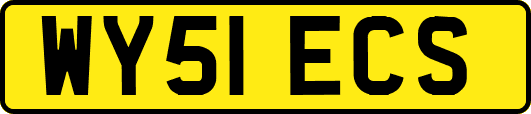 WY51ECS