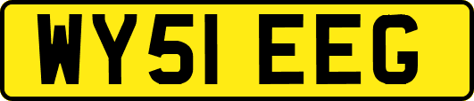 WY51EEG