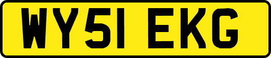 WY51EKG