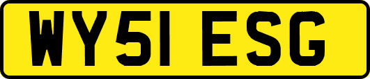 WY51ESG