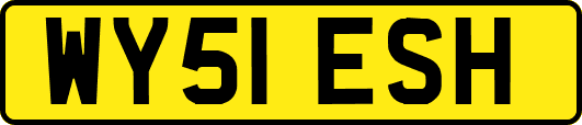 WY51ESH
