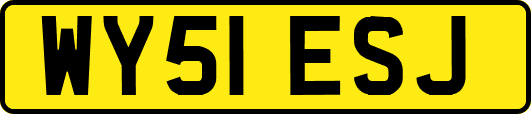 WY51ESJ