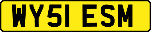 WY51ESM