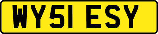 WY51ESY