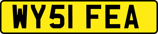 WY51FEA