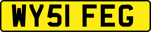 WY51FEG