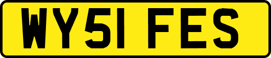 WY51FES