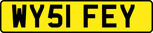 WY51FEY
