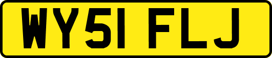 WY51FLJ