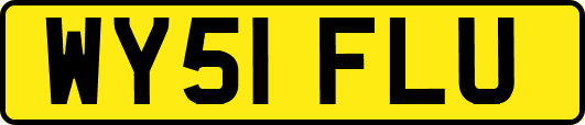 WY51FLU