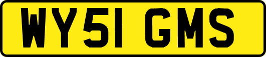WY51GMS