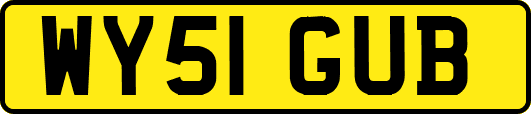 WY51GUB